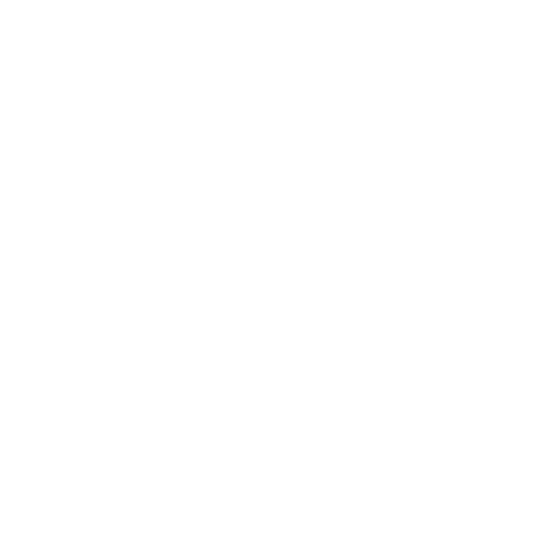 Developer